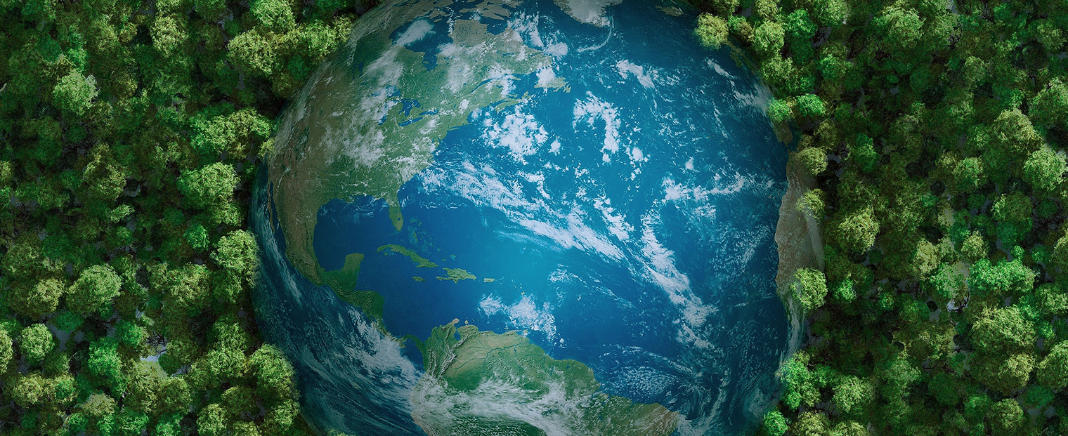 Diêm Thành Mingyang Quartz Products Co., Ltd.